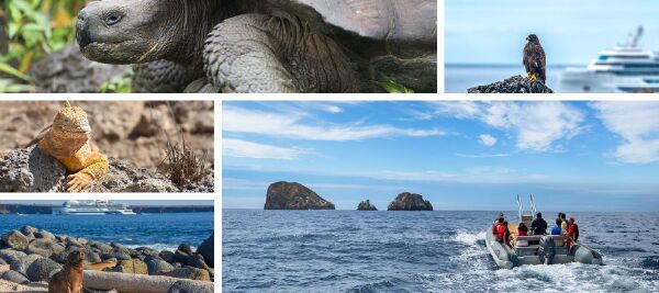 celebrity-flora-galapagos Celebrity Flora Galapagos