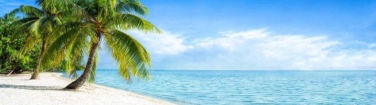 Karibikinsel mit Palmen und weißem Strand