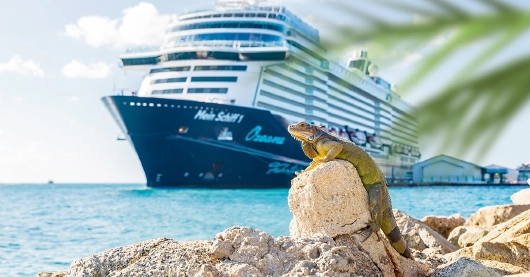 Mein Schiff 1 mit Echse im Vordergrund