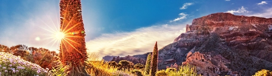 Sonnenuntergang Kanaren Teneriffa