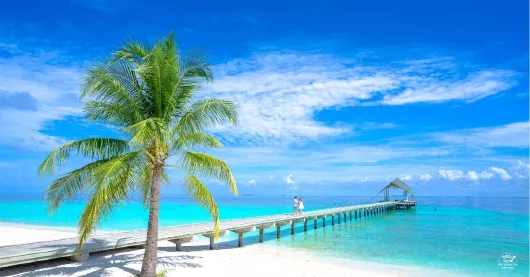 Karibik Sandstrand mit Steg