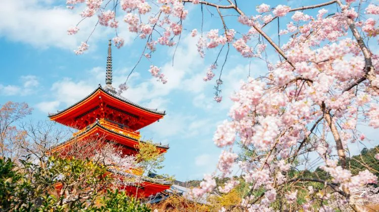 Japan Kyoto Kiyomizu-dera Tempel Japan Kyoto Kiyomizu-dera Tempel