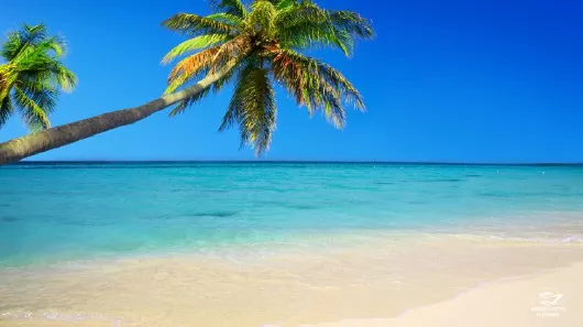 AIDA TRAVEL TUESDAY Karibik