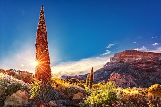 Roques de Garcia auf Teneriffa