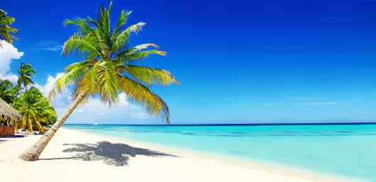 Weisser Sandstrand in der Karibik mit Palme